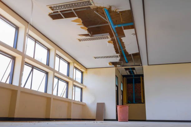 Best Professional water damage repair  in Albuquerque, NM
