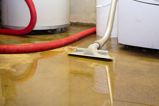 Best Flood damage cleanup  in Albuquerque, NM