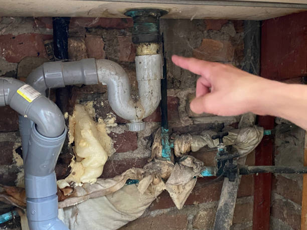 Best Ceiling water damage repair  in Albuquerque, NM