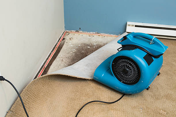 Best Residential water damage restoration  in Albuquerque, NM